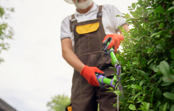 Landscaping